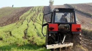 Отпускат 15 млн лв кредити за есенната сеитба