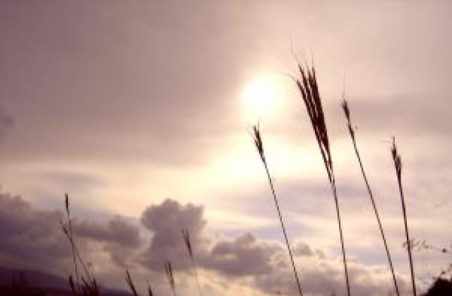 България е в Топ 3 на страните с най-голяма сива икономика