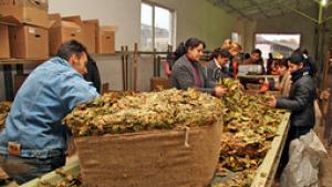 Висок акциз за тютюна и десятък за офшорки ще пълнят