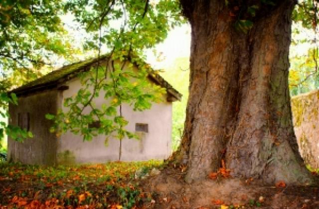 Без „данък лукс”, но с „данък колиба”