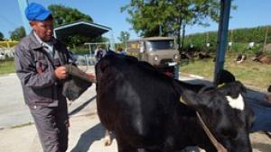 Земеделците ще получават плащания за 2010г срещу платени данъци