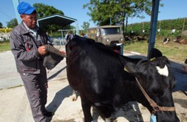 Удължава се срокът за погасяване на кредитите за животновъдство