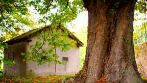 Софиянци на опашка за евтини селски къщи