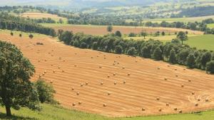 Балонът на нивите се пука