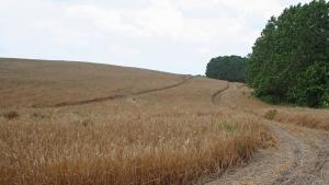 Чужденци ще придобиват земя у нас след 5 години пребиваване