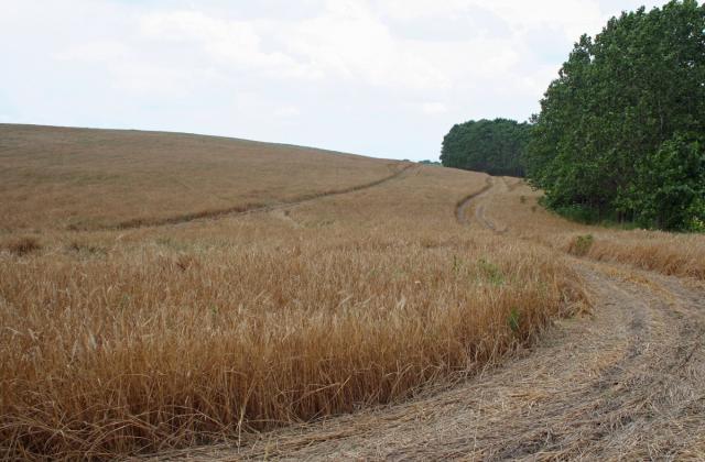 Зеделската земя е поскъпнала с 8.6%