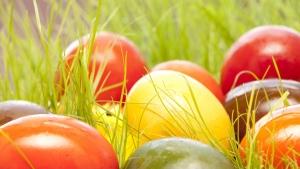 Великден на промоция