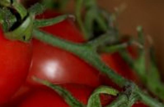 Драстичен ръст в износа на македонски домати