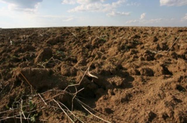 Агро Финанс АДСИЦ притежава 123 060 декара земя към края на юли