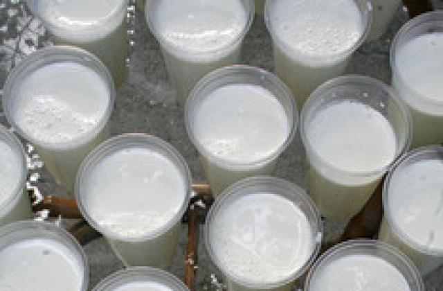 Потвърдиха за картел между млекопреработвателни компании