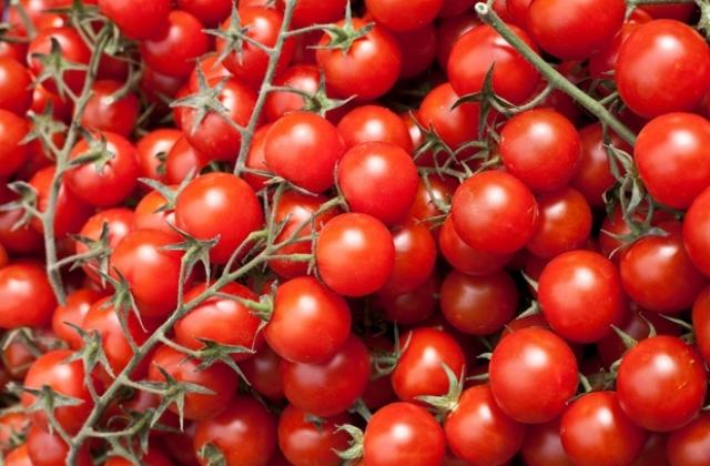 Строгият контрол сви вноса на македонски зарзават, комшиите недоволни