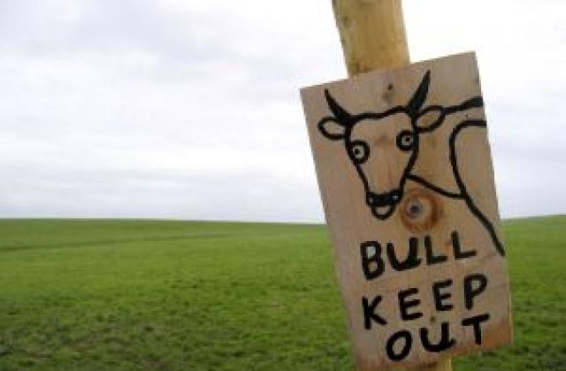 Има ли живот(ни) на борсата?*