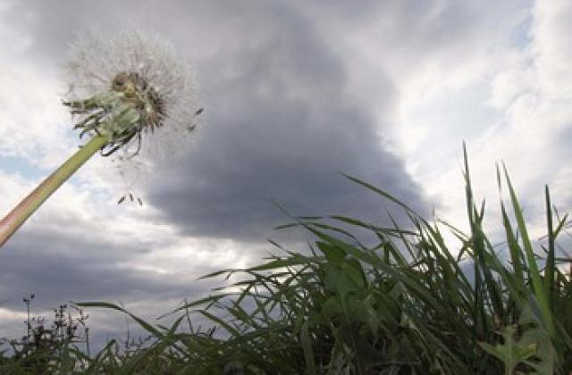 Затягат контрола на строителството върху земеделски земи