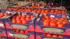 Гръцки домати по левче на борсата край Първенец