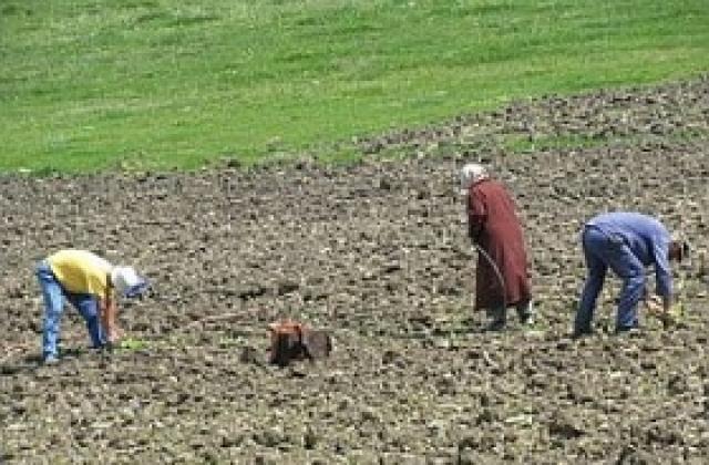 Двойно повече земеделци в Кърджали подали заявления за субсидии