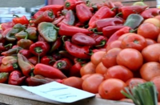 ДФ Земеделие кредитира с 689 647 лв. производството на пипер и домати