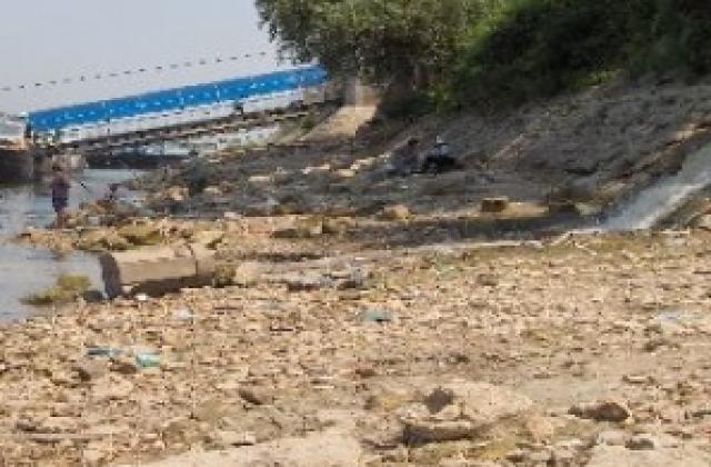 Експерт: До дни водите на Дунав ще бъдат замърсени