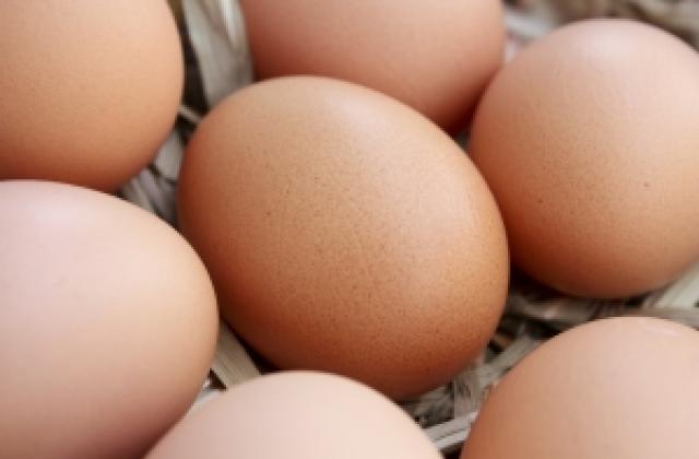 Българските яйца са в опасност