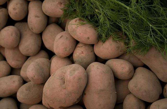 Не успяха да ни пробутат 17 тона картофи с неясен произход