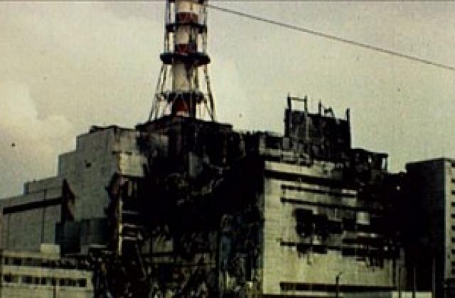 Четвърт век след Чернобил: човекът е по-страшен за животните от радиацията