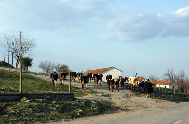 Българското земеделие чупи рекорди със соцтехника – докога?