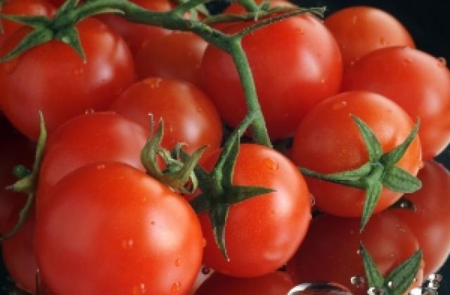 Един италианец произвежда домати в България