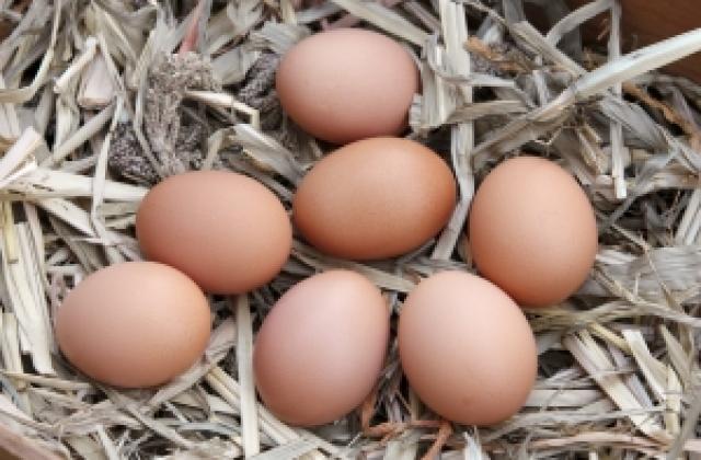 Яйцата поскъпнали с 40% за година
