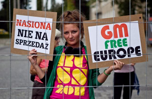 Опасност от ГМО в Европа, ако паднат търговските бариери със САЩ