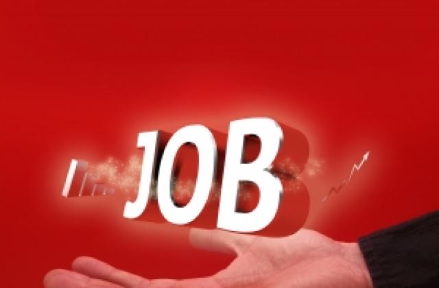 Търсят хора без стаж за близо 1 500 нови работни места в администрацията