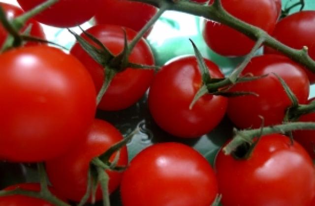 Бракувани домати и краставици от Гърция заливат пазара