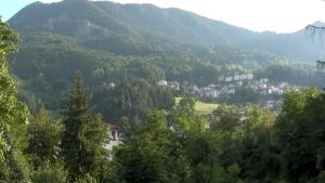 България номер едно в Европа по износ на билки