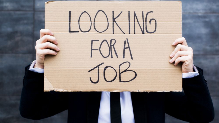 Свободните работни места: къде, колко и за каква заплата