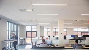 Все поголям недостиг на специалисти на пазара на труда