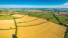 Ниви и ренти поскъпват с нови 34