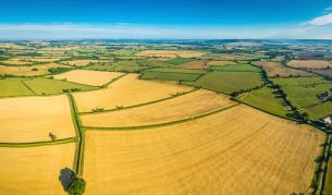 3 милиона българи под заплаха заради нови правила за наем на земя