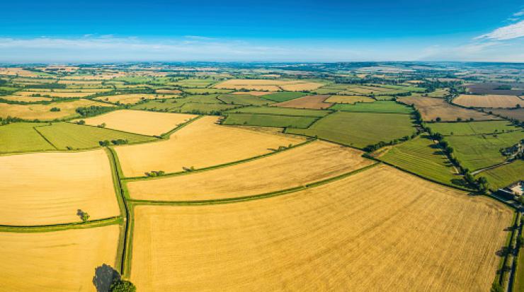 Ниви и ренти поскъпват с нови 34