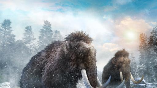  <p>Защо множеството <strong>фосили</strong> са на човеци от <strong>мъжки пол</strong></p> 