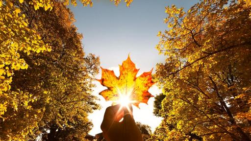  Слънце в първия образователен ден 