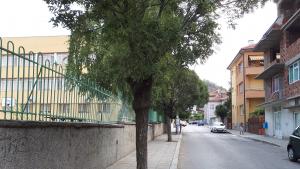 Започва подновяване на маркировката около учебните и детски заведения в