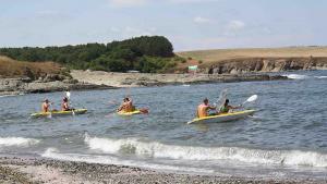 Игри на волята