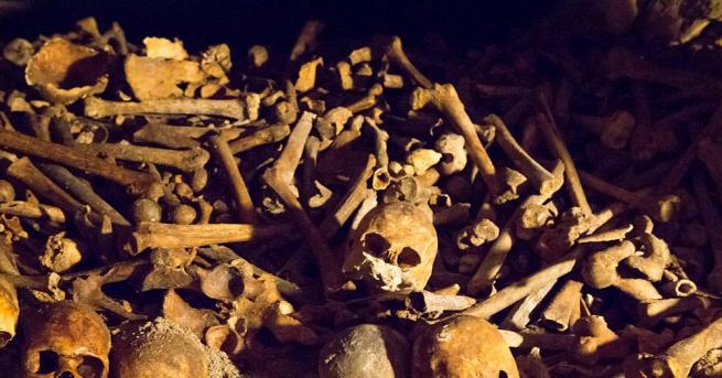 Археолози откриха масов гроб в бивш нацистки концлагер в Чехия