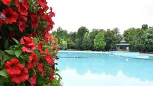 пеещи фонтани Пловдив