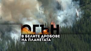 Огън в белите дробове на планетата