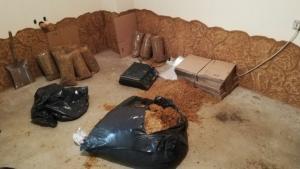 тютюн Пловдив