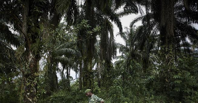 В Демократична Република Конго дерайлира влак има десетки загинали предаде