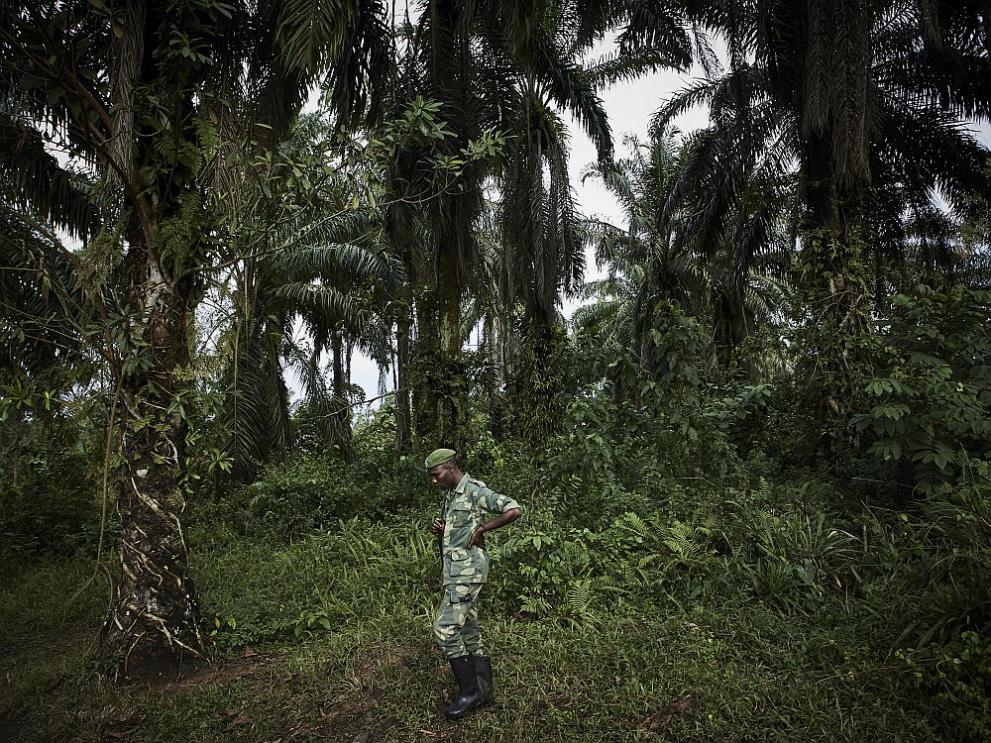 Въоръжените сили на Демократична република Конго (ДРК) предотвратиха опит за държавен преврат,