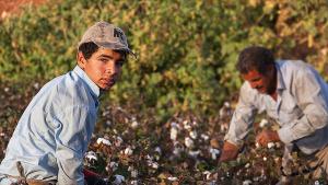 деца работа