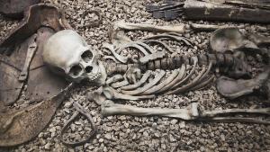 Китайски археолози са извлекли ДНК от човешки скелет на около