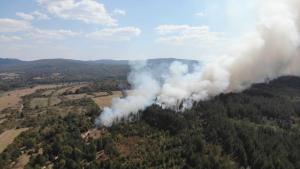 Пожарът край село Горно Черковище