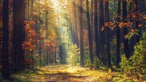  <p>Есента припомня за себе си, чакат ни дъждове</p> 